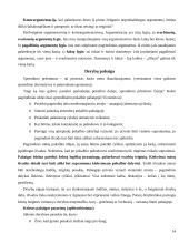 Derybų psichologiniai aspektai 14 puslapis