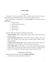 Derybų psichologiniai aspektai 7 puslapis