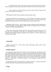 Didieji tinklai 6 puslapis