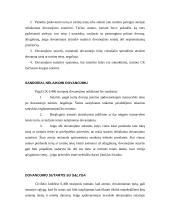 Dovanojimo sutartis 4 puslapis