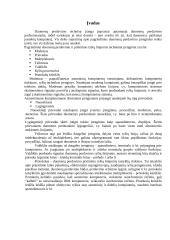 Duomenų perdavimo įrenginiai 2 puslapis