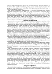 Duomenų perdavimo įrenginiai 13 puslapis