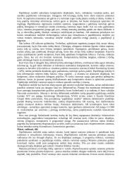 Duomenų perdavimo įrenginiai 20 puslapis