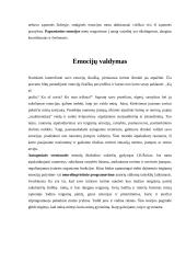 Emocijų vertinimas 6 puslapis
