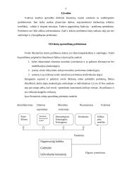 Etinių sprendimų priėmimas 3 puslapis