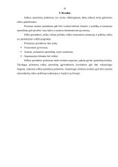 Etinių sprendimų priėmimas 10 puslapis