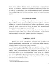 Europos Sąjungos teisės principų analizė 11 puslapis
