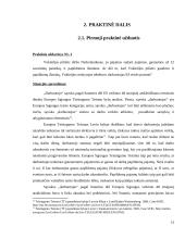Europos Sąjungos teisės principų analizė 12 puslapis