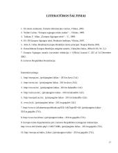Europos Sąjungos teisės principų analizė 17 puslapis