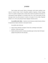 Europos Sąjungos teisės principų analizė 3 puslapis