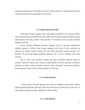 Europos Sąjungos teisės principų analizė 7 puslapis