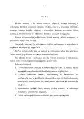 Fizinių asmenų teisnumas bei veiksnumas 2 puslapis