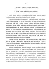 Fizinių asmenų teisnumas bei veiksnumas 3 puslapis
