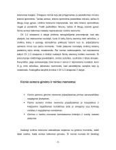 Fizinių asmenų teisnumas ir veiksnumas 8 puslapis