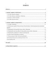 Fiziniai asmenys bei jų teisnumas ir veiksnumas 2 puslapis