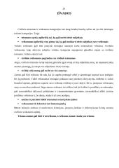 Fiziniai asmenys bei jų teisnumas ir veiksnumas 20 puslapis