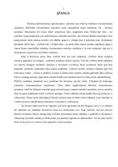 Fiziniai asmenys bei jų teisnumas ir veiksnumas 3 puslapis