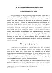 Formalios ir neformalios organizacijos,  jų priklausomybė nuo aplinkos. Neformalių organizacijų ypatumai kariuomenėje 4 puslapis