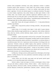 Formalios ir neformalios organizacijos,  jų priklausomybė nuo aplinkos. Neformalių organizacijų ypatumai kariuomenėje 5 puslapis
