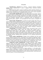 Garsų, spalvų, šviesos ir temperatūros poveikis atsipalaidavimui 11 puslapis