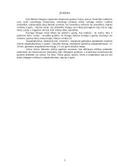Garsų, spalvų, šviesos ir temperatūros poveikis atsipalaidavimui 3 puslapis