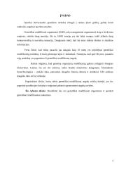 Genetiškai modifikuoti organizmai (kukurūzai) 3 puslapis