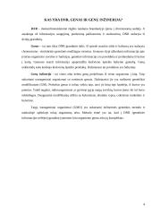 Genetiškai modifikuoti organizmai (kukurūzai) 4 puslapis