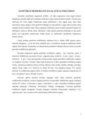 Genetiškai modifikuoti organizmai (kukurūzai) 5 puslapis