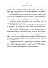 Gyventojų pajamų ir išlaidų statistikos samprata 3 puslapis