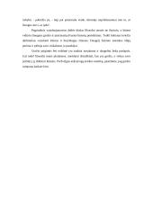 Grožis ir estetika 6 puslapis