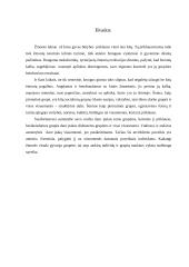 Grupės socialinėje psichologijoje 13 puslapis