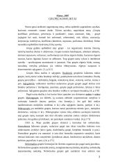 Grupių konfliktai 2 puslapis