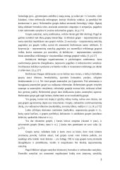 Grupių konfliktai 3 puslapis