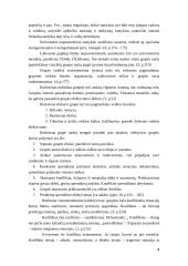 Grupių konfliktai 4 puslapis