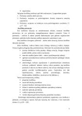 Grupių konfliktai 7 puslapis