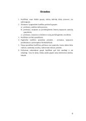 Grupių konfliktai 9 puslapis