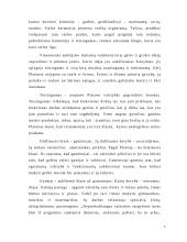 Idealios valstybės modelis Platono "Valstybėje" 5 puslapis