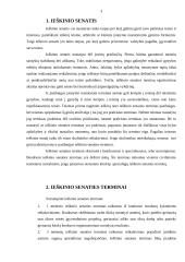 Ieškinio senatis 3 puslapis