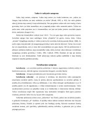 Ikimokyklinio amžiaus vaikų socializacija 3 puslapis