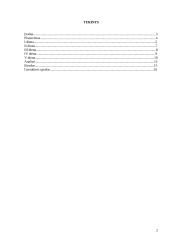 Individualios planavimo galimybės (5 dienų planas) 2 puslapis