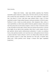 Individualios planavimo galimybės (5 dienų planas) 11 puslapis