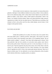 Individualios planavimo galimybės (5 dienų planas) 13 puslapis