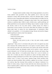 Individualios planavimo galimybės (5 dienų planas) 6 puslapis