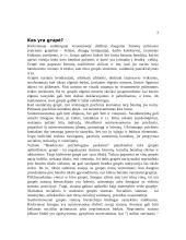 Individualūs ir grupiniai sprendimo būdai 4 puslapis