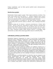 Individualūs ir grupiniai sprendimo būdai 5 puslapis