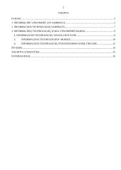 Informacijos technologijų įtaka visuomenės raidai 2 puslapis