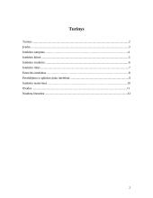 Intelekto samprata, kilmė, struktūra bei rūšys 2 puslapis