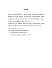 Intelekto samprata, kilmė, struktūra bei rūšys 3 puslapis