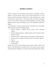 Intelekto samprata, kilmė, struktūra bei rūšys 6 puslapis