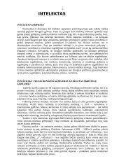 Intelekto samprata 2 puslapis